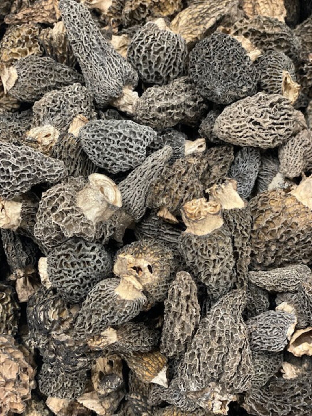 Dried Wild Morel Mushrooms - Etsy
