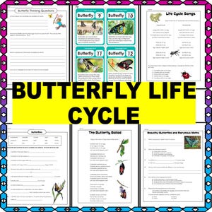 Butterfly Life Cycle Activity Worksheets