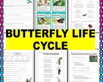 Butterfly Life Cycle Activity Worksheets