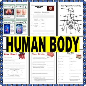 Human Body Worksheets