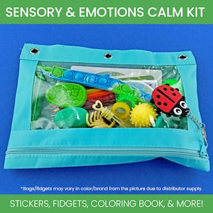 Bug Calm Kit ADHD Fidget Toy for Anxious Kid Insect Theme Gift Sensory Pack for Autism Stim Toy Bug Coloring Book Sensory Seeking Activity