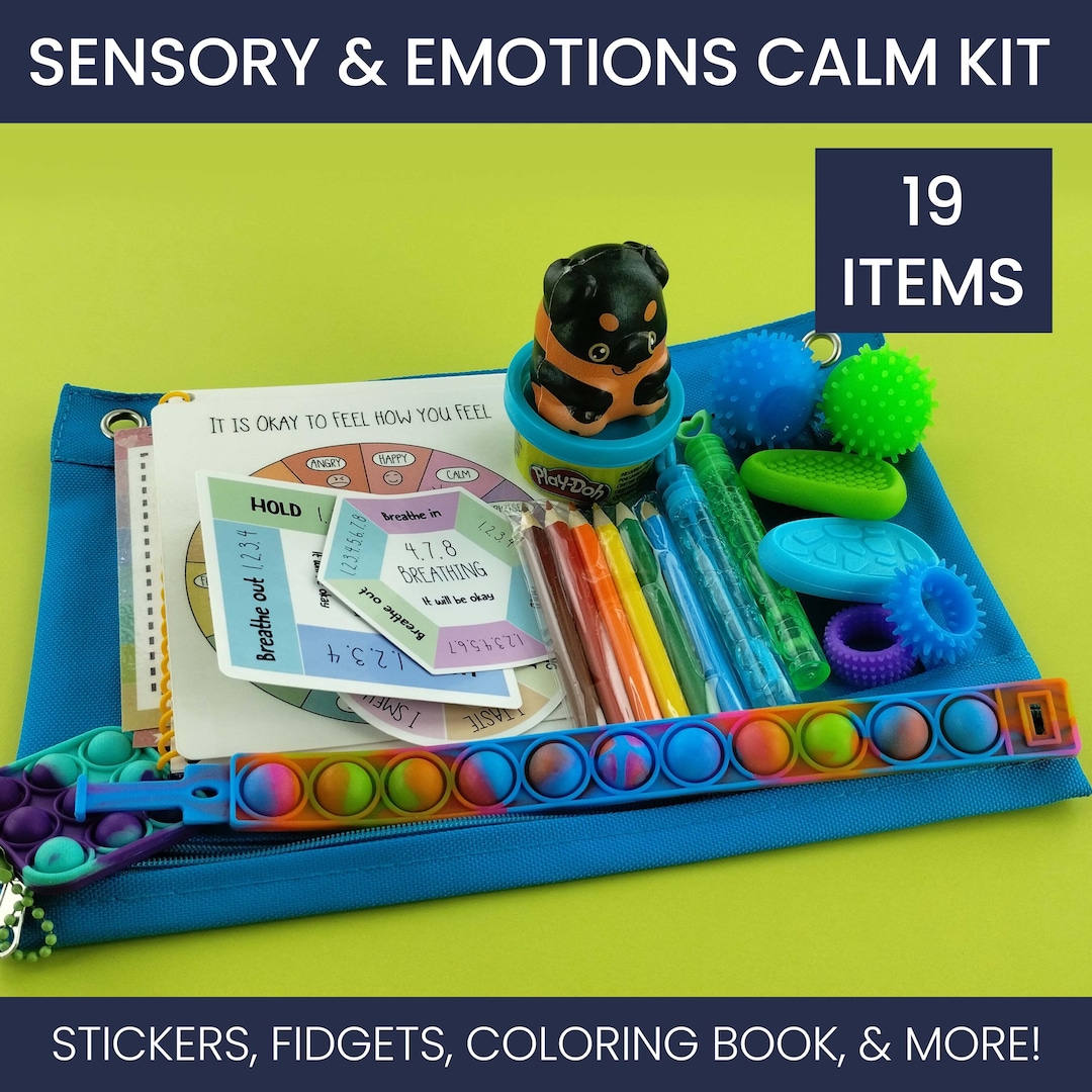 Autistic Child Sensory Kit Gift for Kid ADHD Fidget Toy Box Anxiety ...