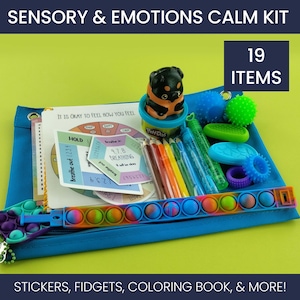 Autistic Child Sensory Kit Gift for Kid ADHD Fidget Toy Box Anxiety Stress Relief Preteen Girl Sensory Bag Calm Down Kit Therapy Office Toy