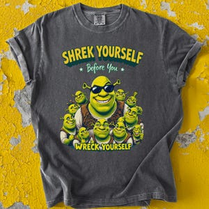 Shrek Shirt Shrek Yourself Before You Wreck Yourself - Funny Shrek Meme Shirt, Shrek Gift, Shrek T Shirt, Self Love Tee