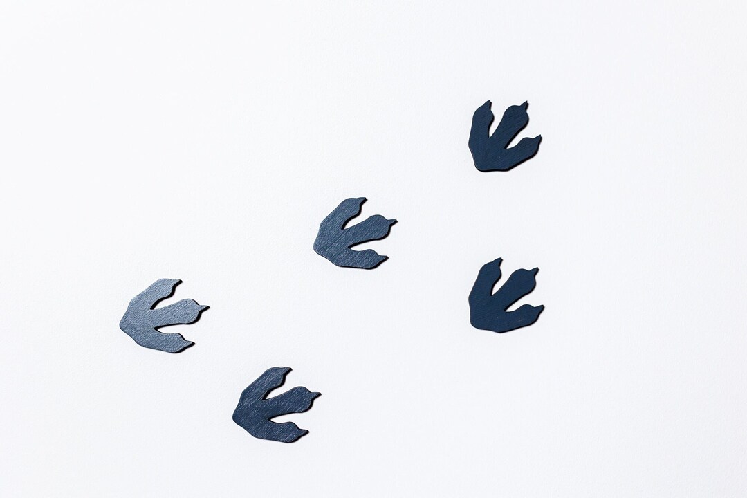 Dinosaur Footprints Wall Decoracions, Dinosar Nursery Decor, Dinosaur