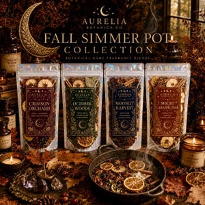 Botanical Simmer Pot Kit, Natural Stove Top Potpourri, Aromatic Home Ritual, Dried Fruit Herb and Spice Blend, Witchy Housewarming Gift