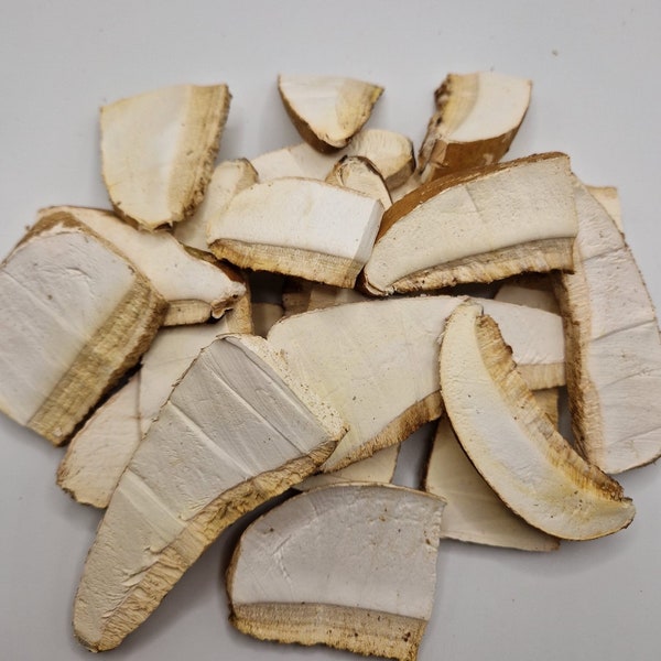 Polypore de Bouleau , 500 Gr