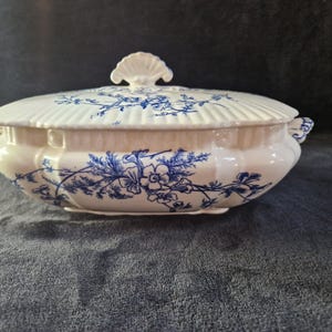 Può includere: Una zuppiera ovale in ceramica con base color crema e motivo floreale blu. Il coperchio presenta un manico a forma di conchiglia e bordi scanalati. Il corpo della zuppiera ha disegni floreali blu abbinati e manici laterali integrati.