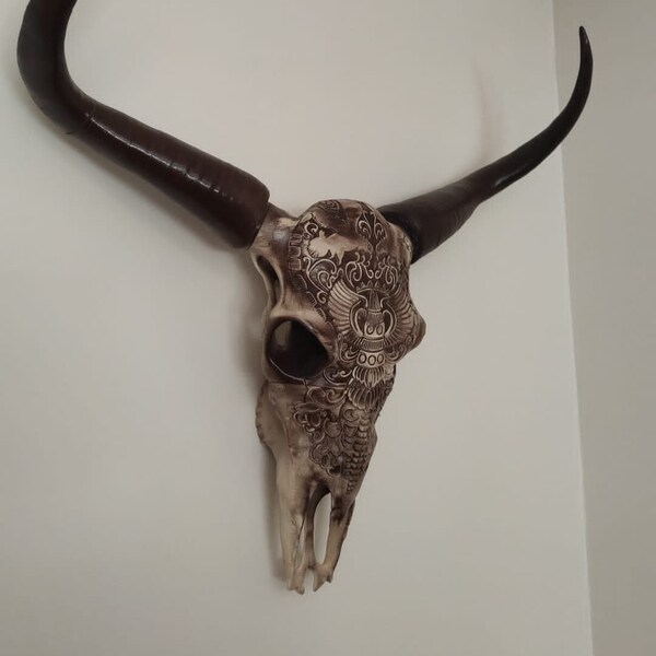 Longhorn Wall Mount Etsy