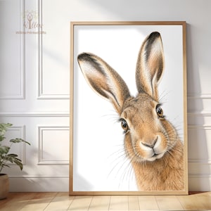 May include: A framed wall art print featuring a detailed illustration of a brown hare with long ears and dark eyes against a plain white background. The artwork is encased in a light-coloured wooden frame, showcasing the animal's fur texture.