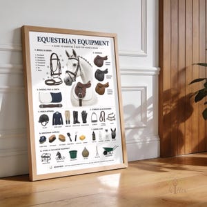 May include: A framed educational poster titled EQUESTRIAN EQUIPMENT, A GUIDE TO ESSENTIAL GEAR FOR HORSE & RIDER. It features labeled illustrations of a horse head, bridles, saddles, rider apparel, stirrups, grooming supplies, and stable equipment.