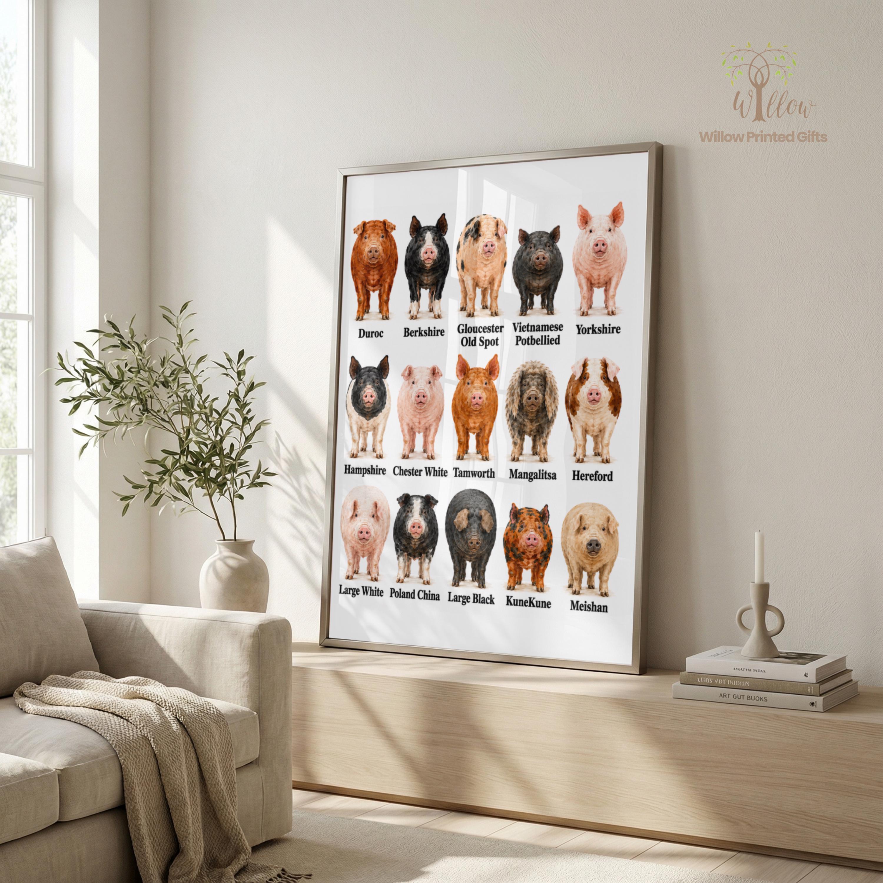 Pig Breeds - Etsy UK