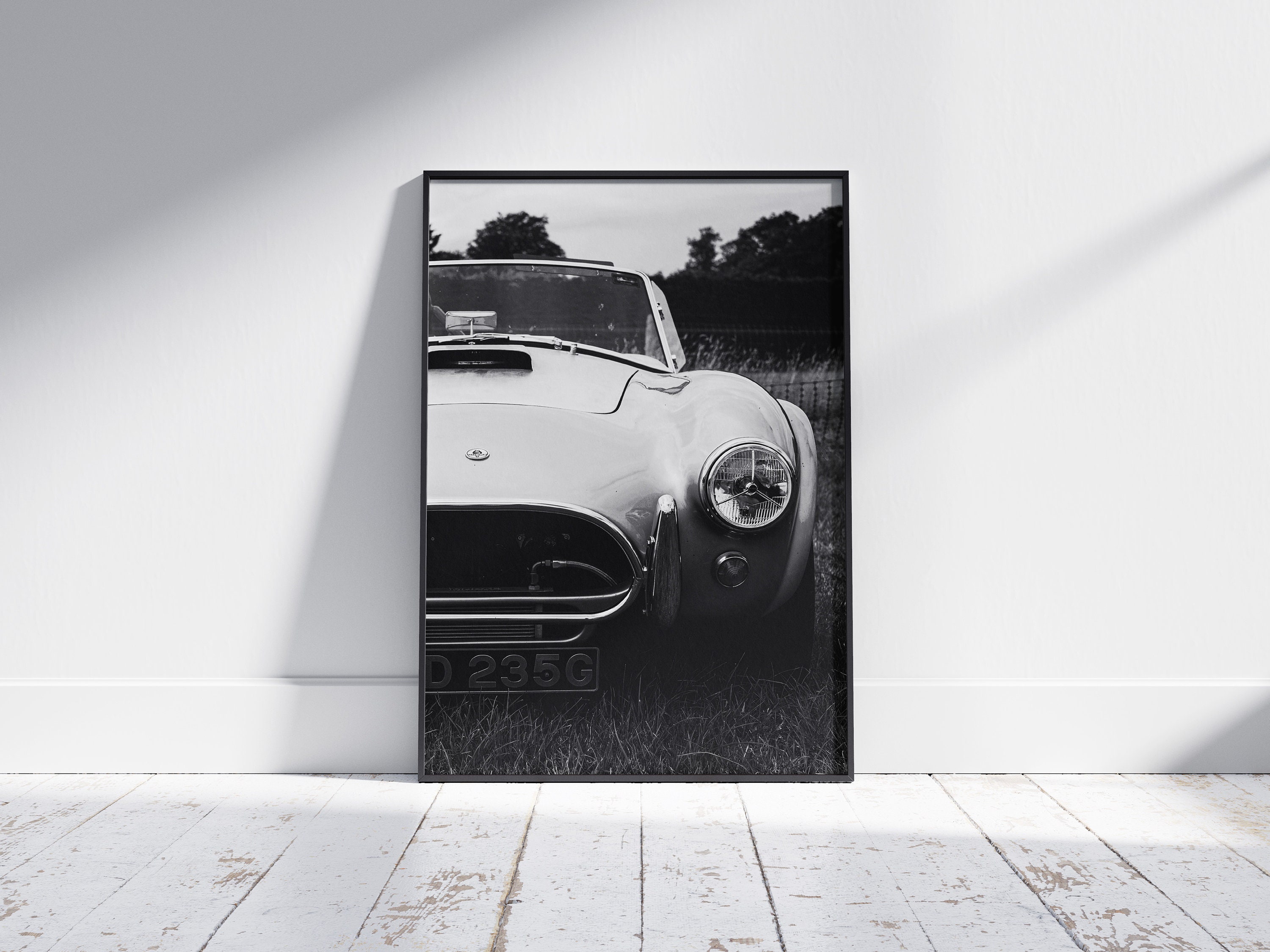 Targa in metallo vintage Shelby Cobra, 7,87 x 7