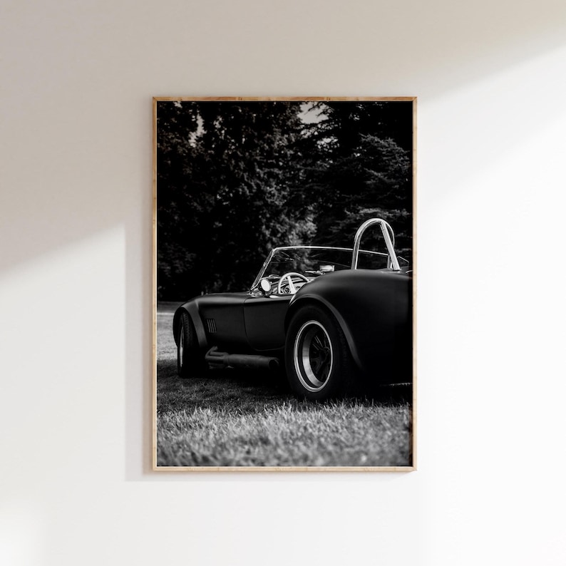 Terrific What Was The Car In The Movie Cobra Images