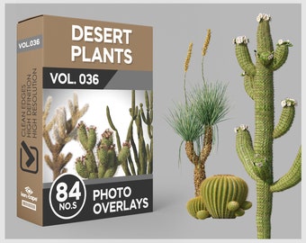 84 Desert Plants Photo Overlays for Photoshop, Mexican Plants, Trees, Plants, Cutouts, PNG Overlays, Digital Downloads