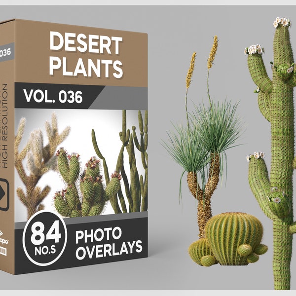 84 Desert Plants Photo Overlays for Photoshop, Mexican Plants, Trees, Plants, Cutouts, PNG Overlays, Digital Downloads