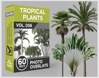 May include: A box of 60 tropical plant photo overlays, labeled "Tropical Plants Vol. 056". The box features a green background with black text and a small image of a palm tree. The overlays are high resolution and have clean edges.