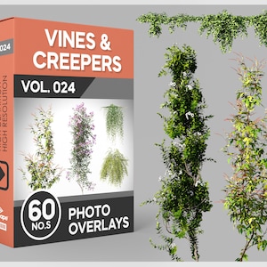 60 Vines & Creepers Photo Overlays for Photoshop, Vines, Ivy, Plants, Cutouts, Scrapbooking, PNG Overlays, Digital Downloads