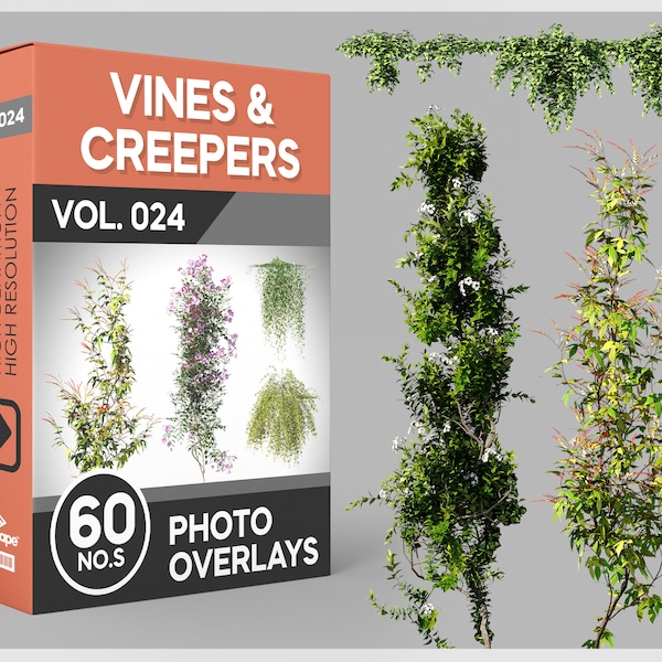 60 superpositions de photos de vignes et de plantes grimpantes pour Photoshop, vignes, lierre, plantes, découpes, scrapbooking, superpositions PNG, téléchargements numériques