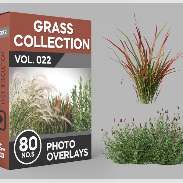 80 superpositions de photos d'herbe pour Photoshop, herbe, paysage, plantes, découpes, scrapbooking, superpositions PNG, téléchargements numériques