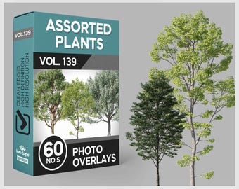 60 Assorted Plants Photo Overlays for Photoshop, Home Plants, Plants, Cutouts, Scrapbooking, PNG Overlays, Digital Downloads