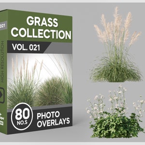80 superposiciones fotográficas de hierba para Photoshop: hierba, paisajes, plantas, recortes, álbumes de recortes, superposiciones PNG y descargas digitales.