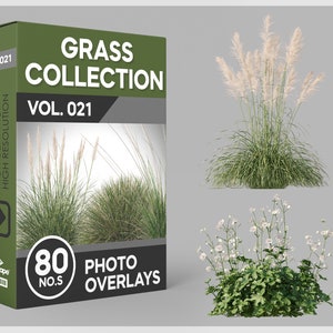 80 Grass Photo Overlays for Photoshop, Grass, Landscape, Plants, Cutouts, Scrapbooking, PNG Overlays, Digital Downloads