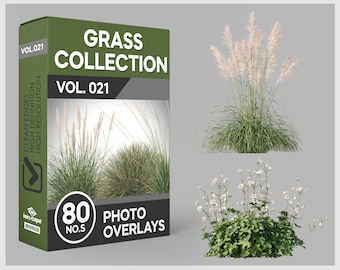 80 Grass Photo Overlays for Photoshop, Grass, Landscape, Plants, Cutouts, Scrapbooking, PNG Overlays, Digital Downloads