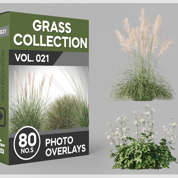 80 superpositions de photos d'herbe pour Photoshop, herbe, paysage, plantes, découpes, scrapbooking, superpositions PNG, téléchargements numériques