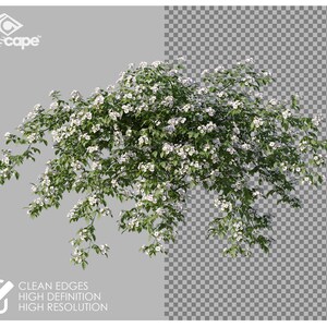 72 Assorted Flowers Photo Overlays for Photoshop, Flowers, Garden ...