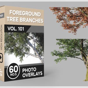60 Foreground Tree Branches Overlay for Photoshop, Frontal Trees, Trees, Plants, Cutouts, Scrapbooking, PNG Overlays, Digital Downloads