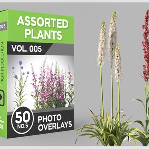 50 Assorted Plants Photo Overlays for Photoshop, Plants, Outdoor Plants, Flowers, Cutouts, Scrapbooking, PNG Overlays, Digital Downloads