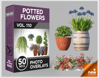50 Topfpflanzen Foto Overlays für Photoshop, Zimmerpflanzen, Topfpflanzen, Pflanzen, Ausschnitte, Pflanzen im Freien, PNG Overlays, digitale Downloads