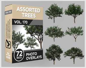 May include: A product box labeled "ASSORTED TREES VOL. 170" with "72 PHOTO OVERLAYS." The box is tan and black, with images of various green trees. The text "CLEAN EDGES HIGH DEFINITION HIGH RESOLUTION" is printed on the side of the box.