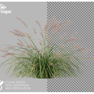 80 Gras-Foto-Overlays für Photoshop, Gras, Landschaft, Pflanzen, Ausschnitte, Scrapbooking, PNG-Overlays, digitale Downloads Bild 2