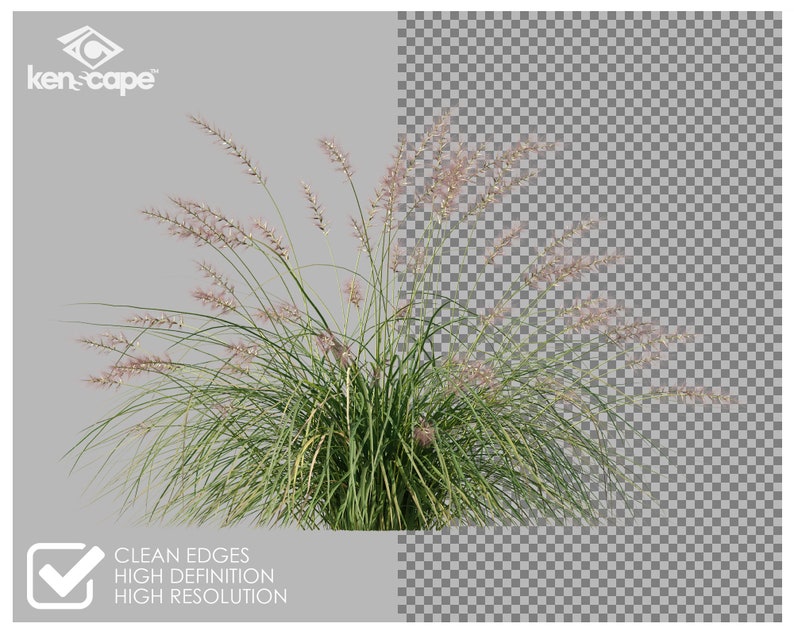 80 Gras-Foto-Overlays für Photoshop, Gras, Landschaft, Pflanzen, Ausschnitte, Scrapbooking, PNG-Overlays, digitale Downloads Bild 2