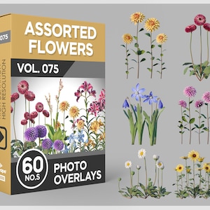 60 Assorted Flowers Photo Overlays for Photoshop, Flowers, Garden Flowers, Plants, Cutouts, Scrapbooking, PNG Overlays, Digital Downloads