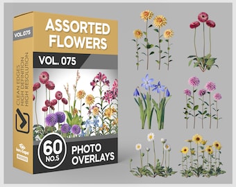 60 Assorted Flowers Photo Overlays for Photoshop, Flowers, Garden Flowers, Plants, Cutouts, Scrapbooking, PNG Overlays, Digital Downloads
