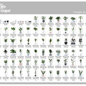 May include: A collection of 60 different potted plants, including a variety of houseplants, succulents, and tropical plants. The plants are arranged in rows and are all in white or gray pots. The image is a preview of the different plants available for purchase.