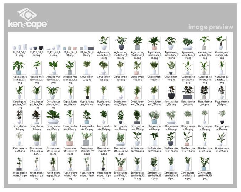 May include: A collection of 60 different potted plants, including a variety of houseplants, succulents, and tropical plants. The plants are arranged in rows and are all in white or gray pots. The image is a preview of the different plants available for purchase.