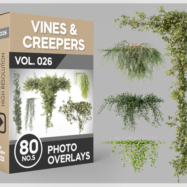 80 Vines & Creepers Photo Overlays for Photoshop, Vines, Ivy, Plants, Cutouts, Scrapbooking, PNG Overlays, Digital Downloads