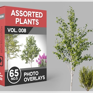 65 Assorted Plants Photo Overlays for Photoshop, Trees, Overlay Trees, Plants, Cutouts, Scrapbooking, PNG Overlays, Digital Downloads