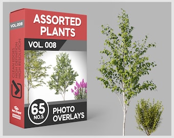 65 Assorted Plants Photo Overlays for Photoshop, Trees, Overlay Trees, Plants, Cutouts, Scrapbooking, PNG Overlays, Digital Downloads