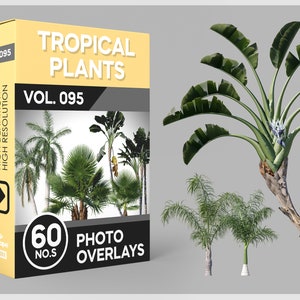 Op de afbeelding: Een doos met 60 foto-overlays van tropische planten, met de titel "Tropische Planten Vol. 095". De doos bevat een collage van verschillende tropische planten, waaronder palmbomen en bananenbomen. De overlays zijn van hoge resolutie en hebben scherpe randen.