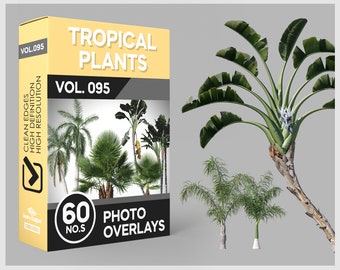May include: A box of 60 tropical plant photo overlays, labeled "Tropical Plants Vol. 095". The box features a collage of various tropical plants, including palm trees and banana trees. The overlays are high resolution and have clean edges.