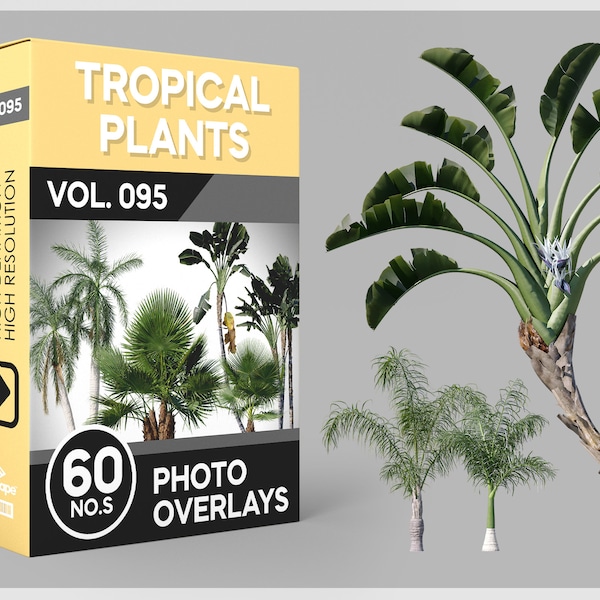 60 Tropical Plants Photo Overlays for Photoshop, Exotic foliage, Jungle flora, Tropical Plants, Rainforest plants, Tropical botanicals