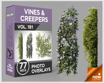May include: A digital product box labeled VINES & CREEPERS VOL. 181 containing 77 photo overlays. The box features images of climbing plants, including a tall vine with purple flowers and a dense green leafy creeper on a gray background.