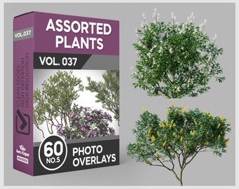 60 Assorted Plants Photo Overlays for Photoshop, Home Plants, Plants, Cutouts, Scrapbooking, PNG Overlays, Digital Downloads