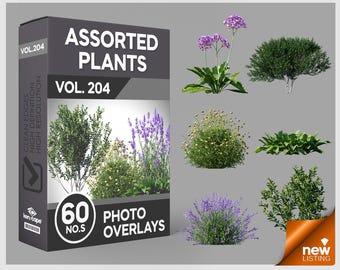 May include: A digital product box labeled ASSORTED PLANTS VOL. 204 containing 60 photo overlays. The box features images of various green shrubs, purple lavender, and yellow flowering bushes, with additional plant examples displayed to the right.