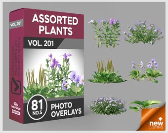 May include: A digital product box labeled Assorted Plants Vol. 201 containing 81 photo overlays. The box features purple flowers and green foliage graphics. Beside the box are six distinct digital cutouts of various green plants and purple flowers.